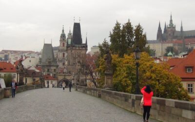 Pagos diferidos y tarjetas de prepago: los checos aprenden a esquivar las estafas online