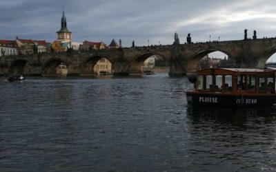 El mito del reciclaje en el que creen los checos: ¿una trampa ecológica?